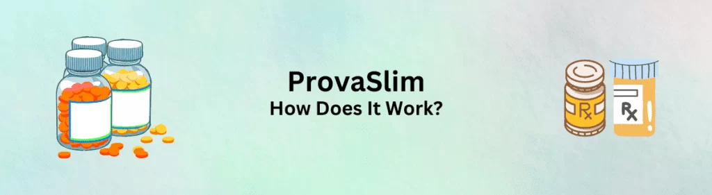 ProvaSlim Working Steps